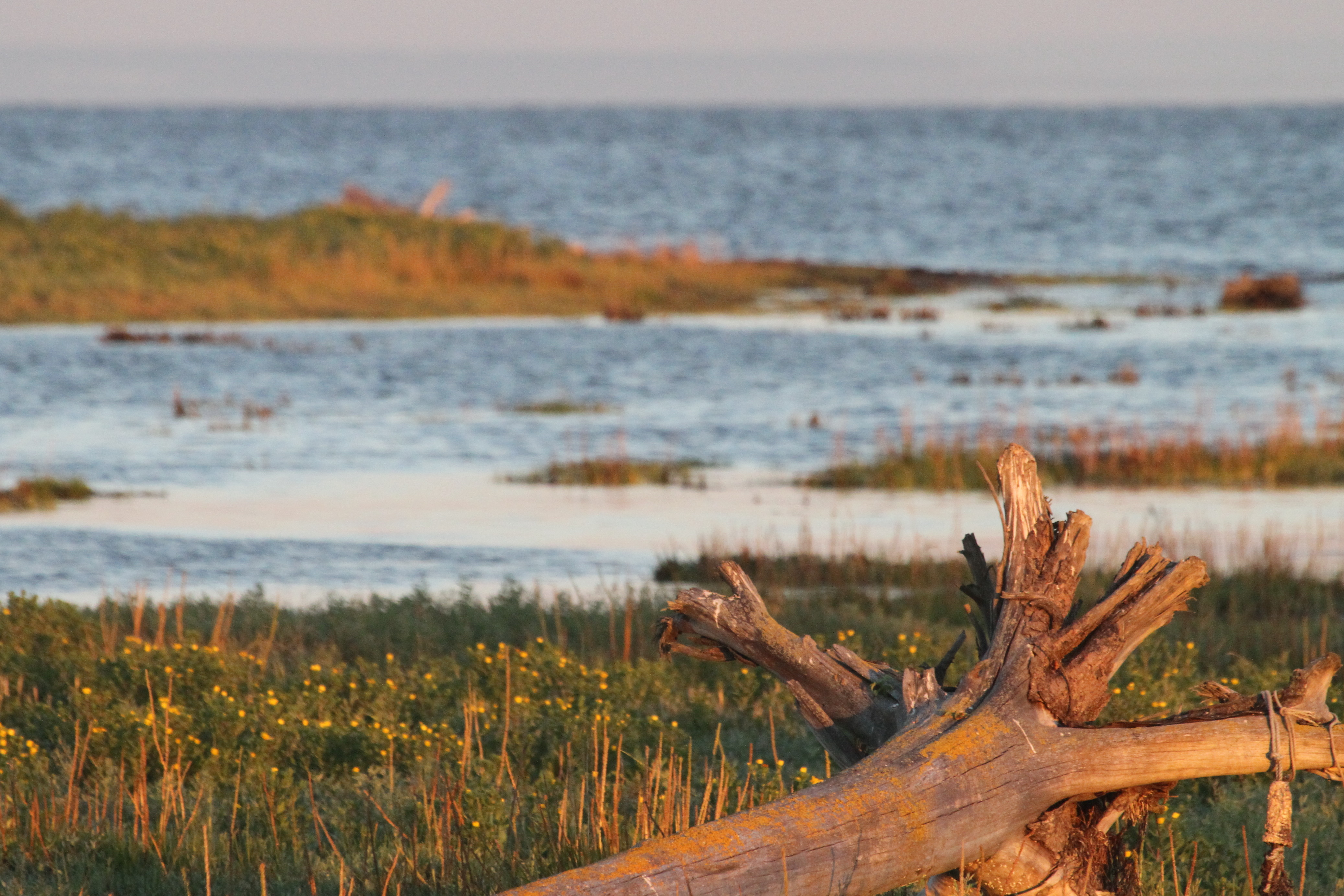 Boundary Bay