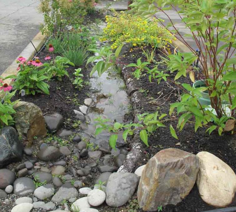 Rain gardens