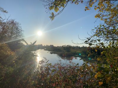 Sun shining on Ladner Slough