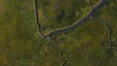 Streams of Dreams image from Delta youth category
