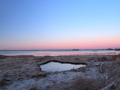 Image of beach at sunset during Winter