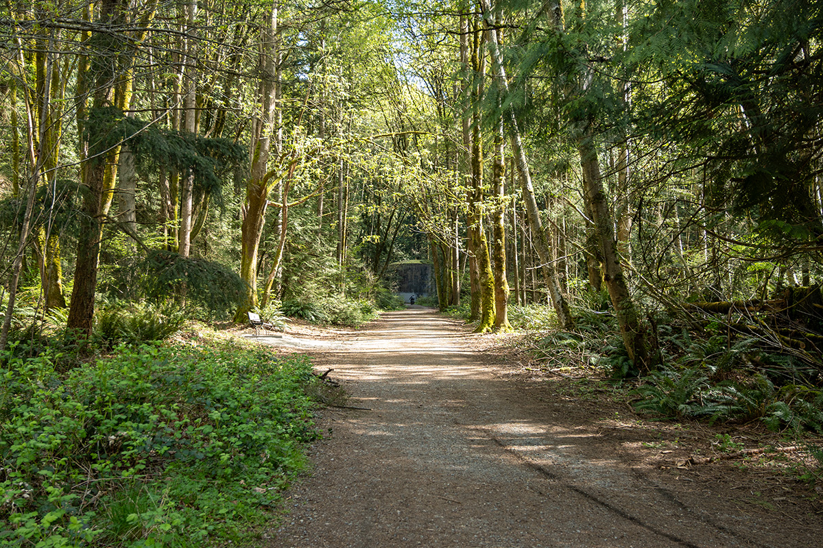 Watershed Park