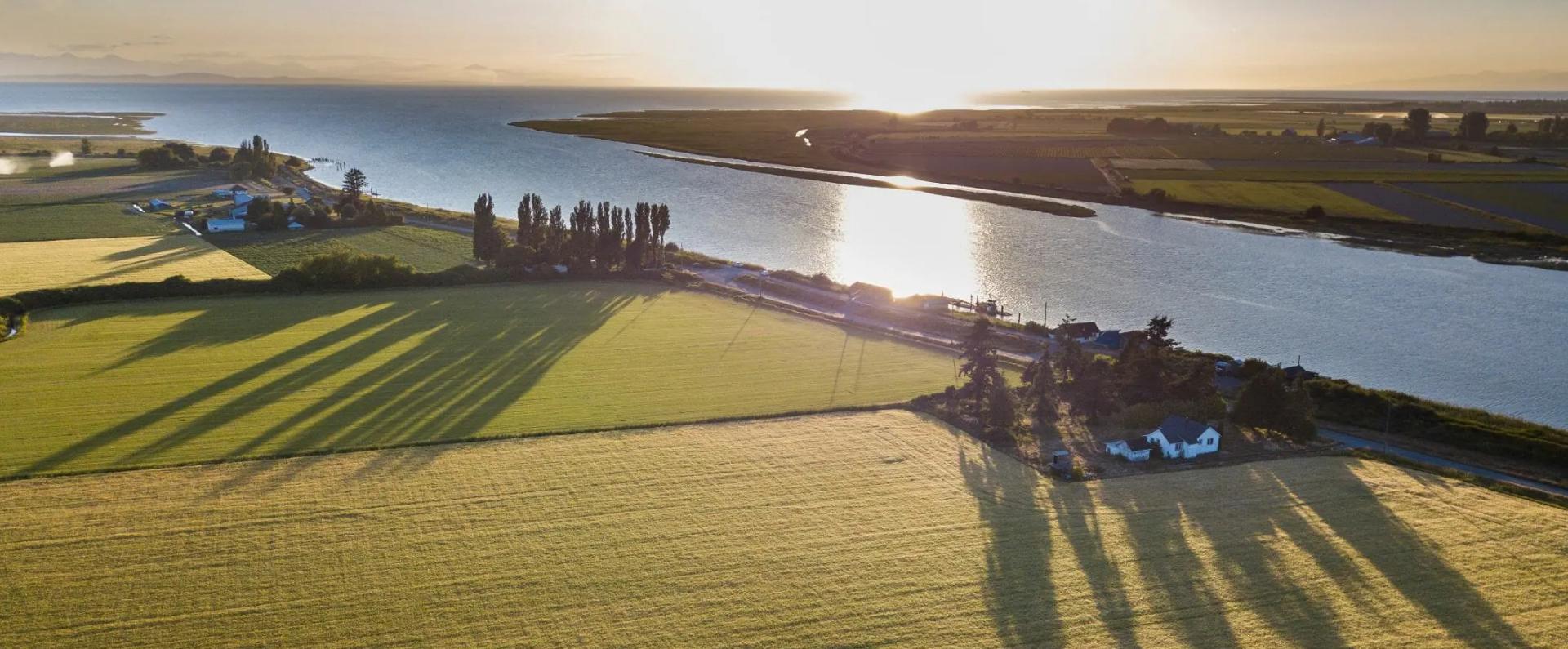 Aerial view of farmland in Delta