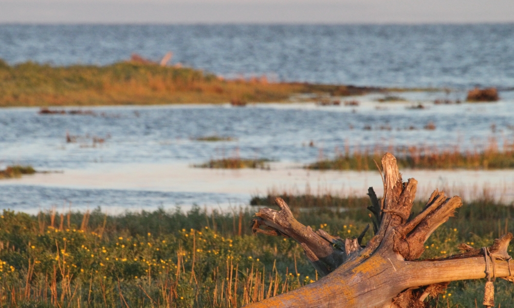 Boundary Bay