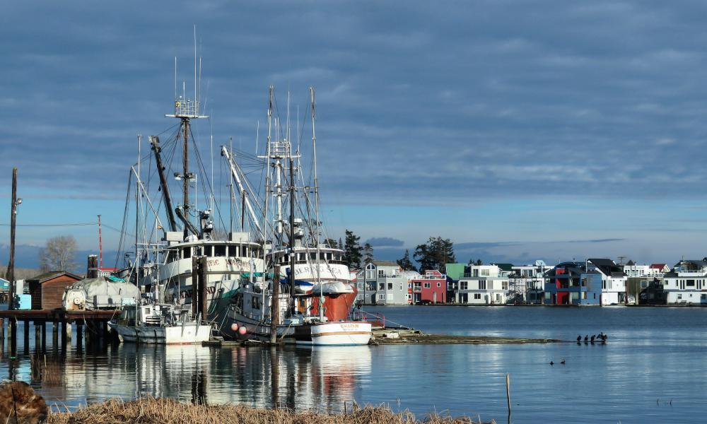 boats moored at a dock