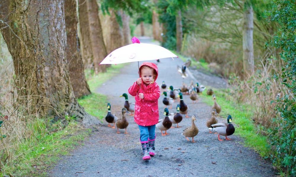 girl holding umbrella on a trail with ducks