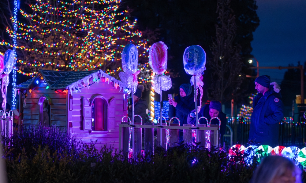 Christmas Tree Lighting