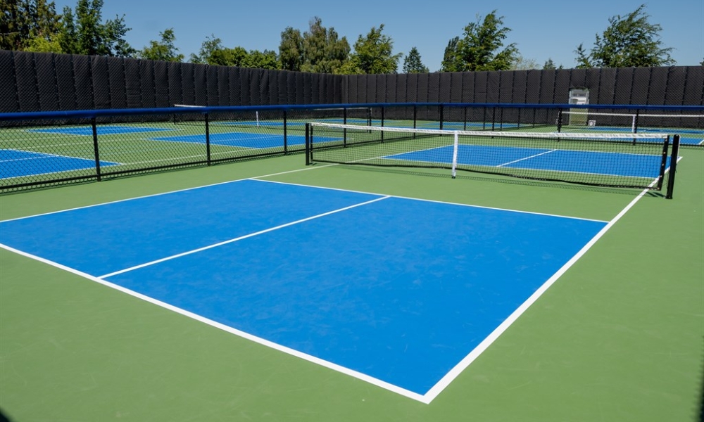 Pickleball Court