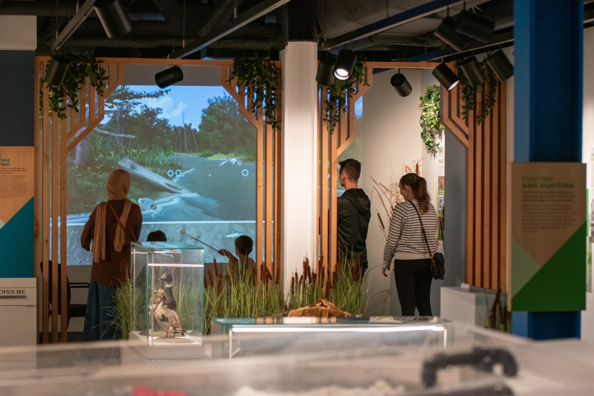 Discovery Centre videos!