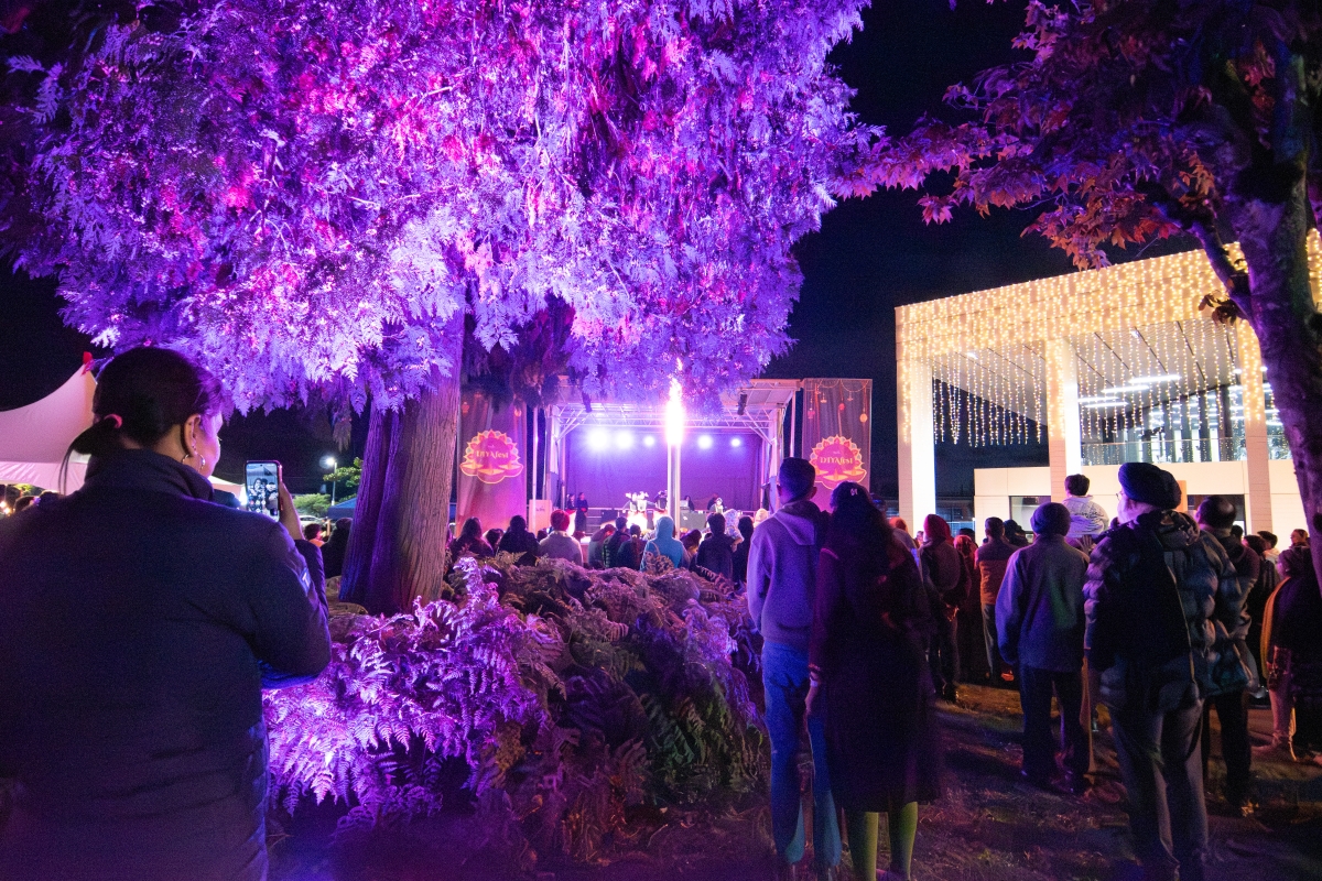 Attendees gather beneath illuminated trees and decorative lights to watch live entertainment on the DIYAfest main stage during an outdoor evening celebration.