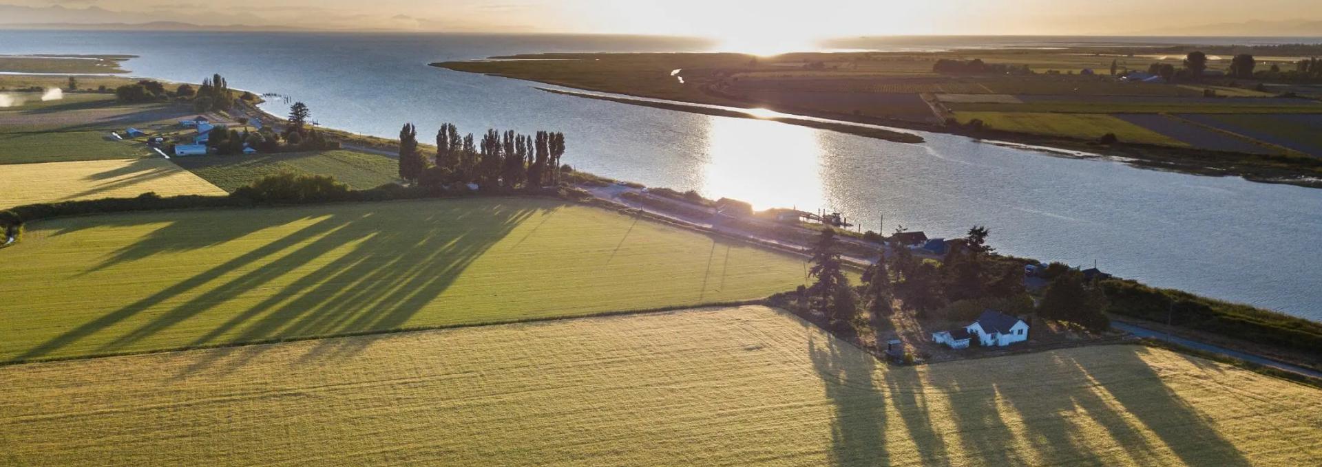 Aerial view of farmland in Delta