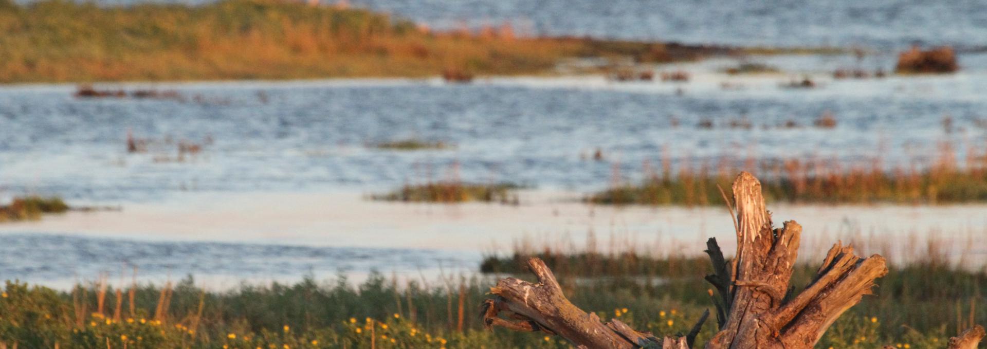 Boundary Bay