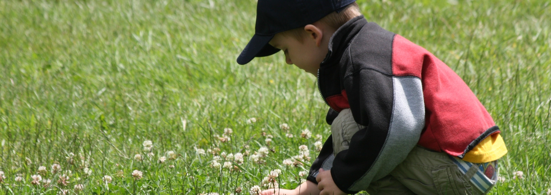 Boy in field