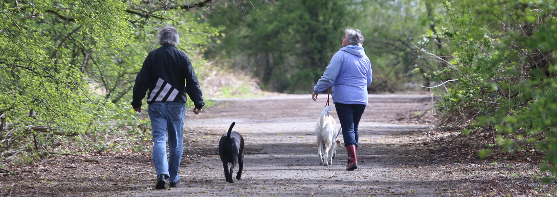 Off-Leash Dog Parks Banner.png