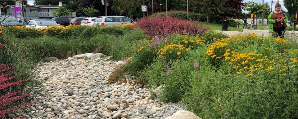 Rain Garden