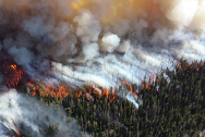 Wildfire with heavy smoke on a treelined hillside