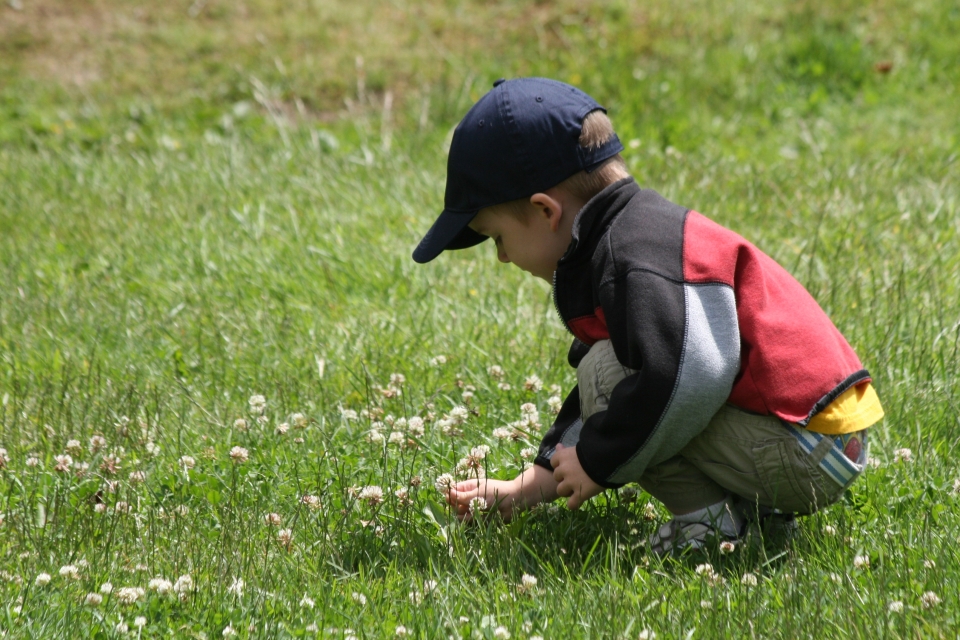 Boy in field