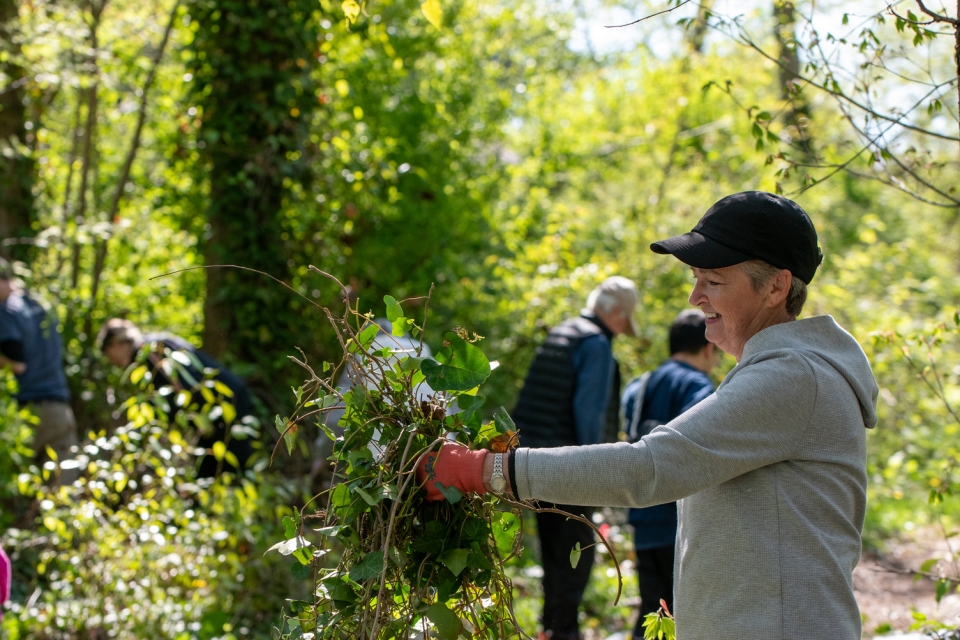 Volunteer holding Ivy