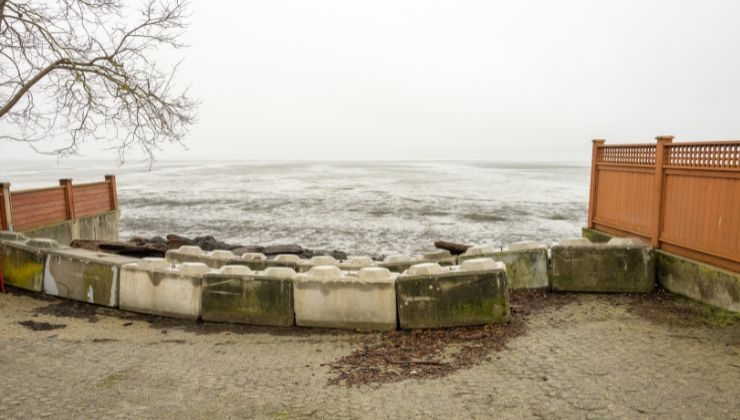Beach Grove in Delta