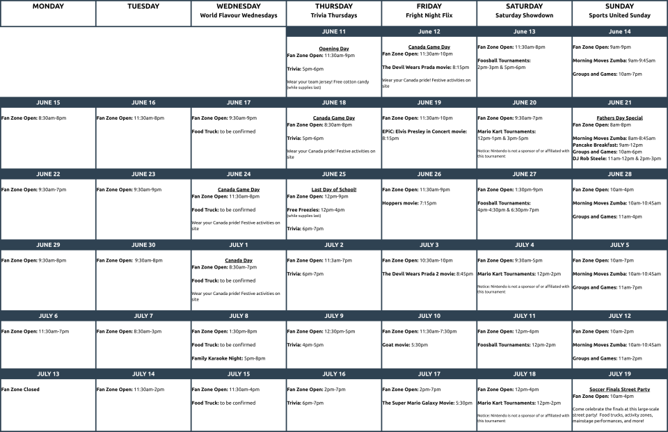Soccer Fan Zone Information Guide