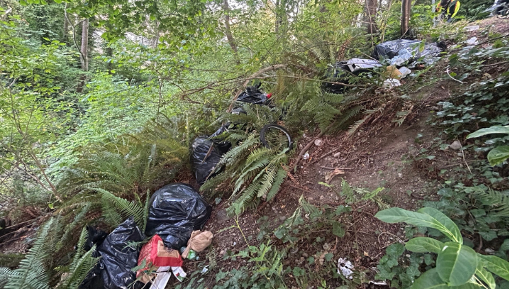 Trash illegally dumped at a roadside.