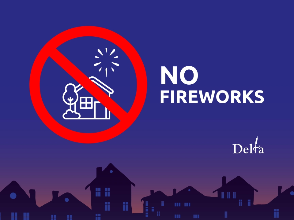 No Fireworks in Delta poster