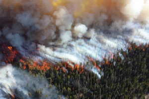 Wildfire with heavy smoke on a treelined hillside