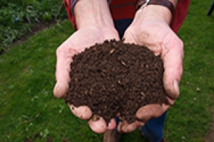 hands holding composted soil