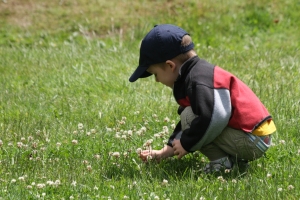 Boy in field