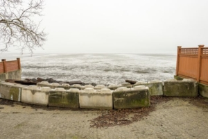 Beach Grove in Delta