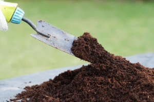 A shovel in a pile of compost.