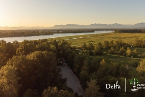Aerial image of trees in Delta, BC.