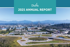 Aerial image of Delta