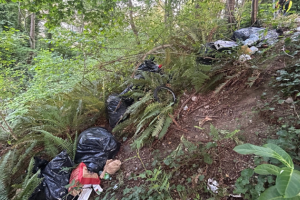 Trash illegally dumped at a roadside.