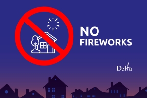 No Fireworks in Delta poster