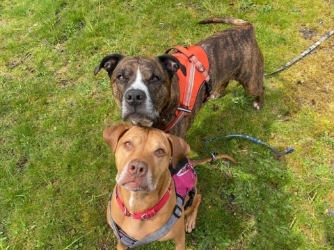 Blaze and Madison Profile picture