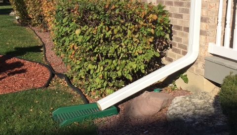 Downspout from a home is draining into the lawn.