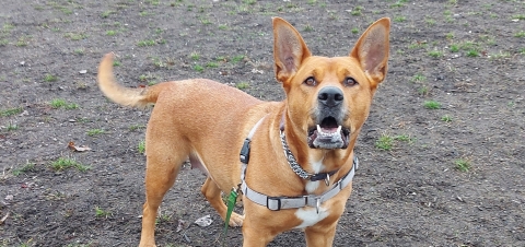 Lola Profile Photo