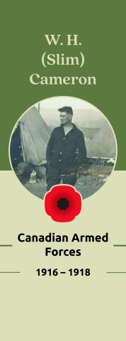 Veteran Street Banners W.H. Cameron