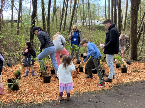Tree Planting