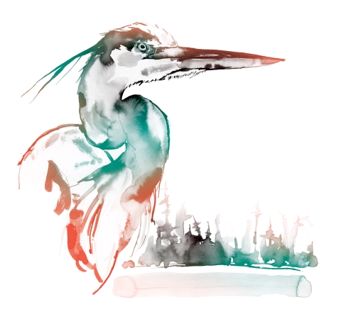 Illustration of Great Blue Heron