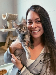 Danielle & shelter kitten