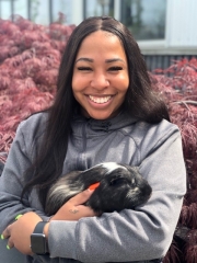 Taylor & shelter Guinea pig