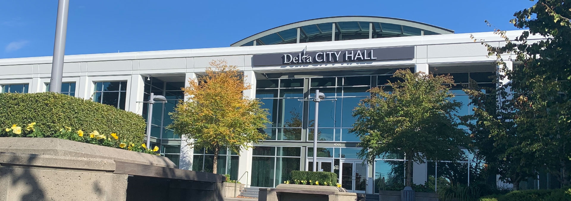 spring clean-up banner