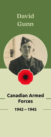 Veteran Street Banners David Gunn